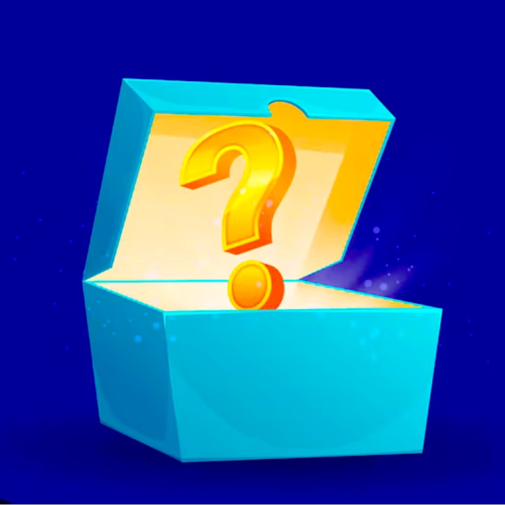 Mystery Bargain Box - Women’s Shirts - choose your size - various brands ❓